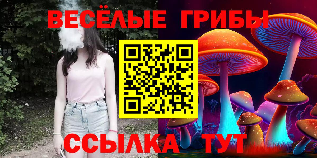 Галлюциногенные грибы ЛСД Буйнакск