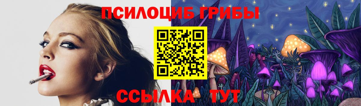 Галлюциногенные грибы Magic Shrooms  как найти   Буйнакск  Вход с VPN 